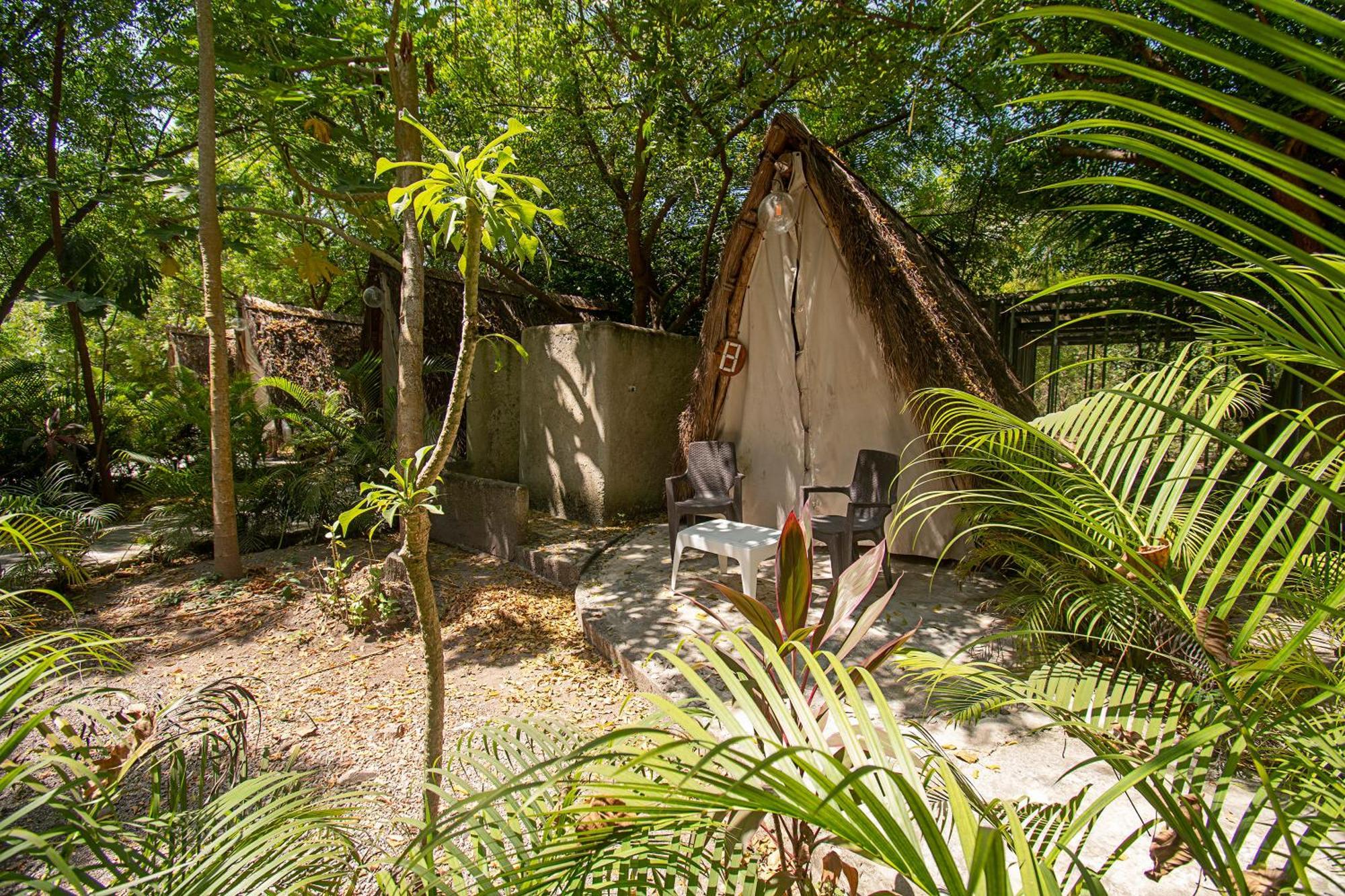 Amalife Beach Club & Hotel Tierra Bomba Exteriér fotografie